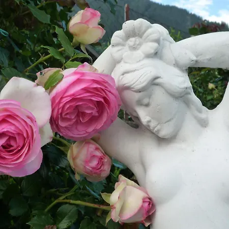 Bed & Breakfast Zint 4*